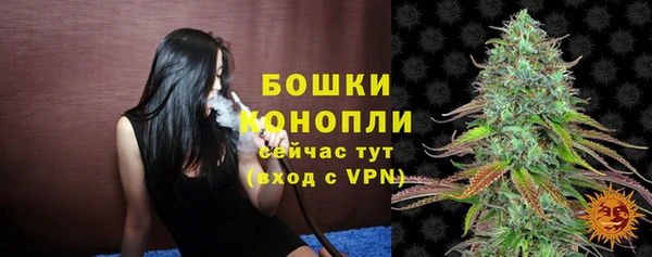 марки lsd Новозыбков