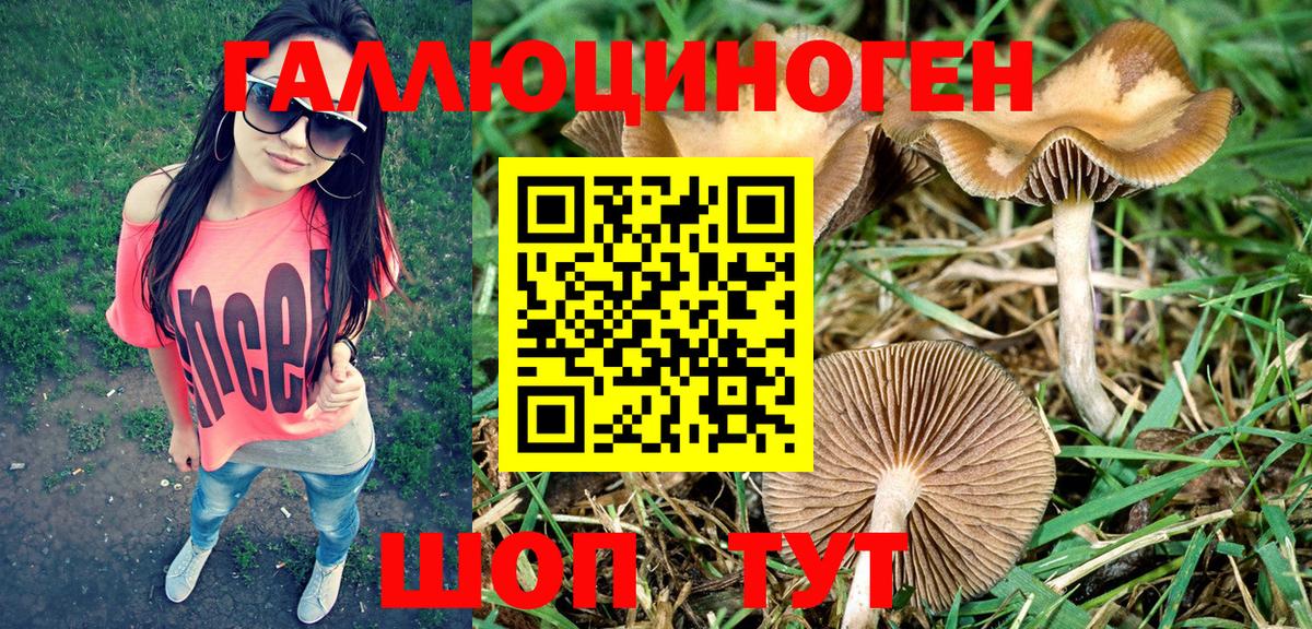 Галлюциногенные грибы Magic Shrooms Когалым
