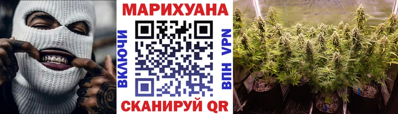 Каннабис OG Kush  Когалым 
